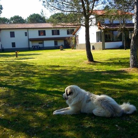 Artenatura Beb Terranuova Bracciolini Eksteriør bilde