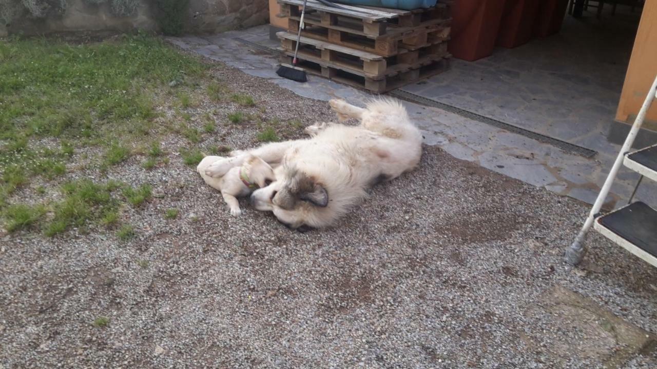 Artenatura Beb Terranuova Bracciolini Eksteriør bilde